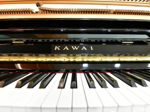 Kawai, NS-10