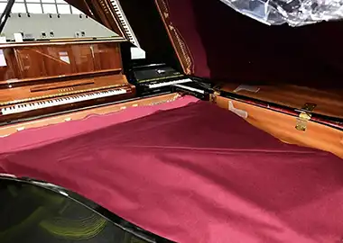 Piano String Cover